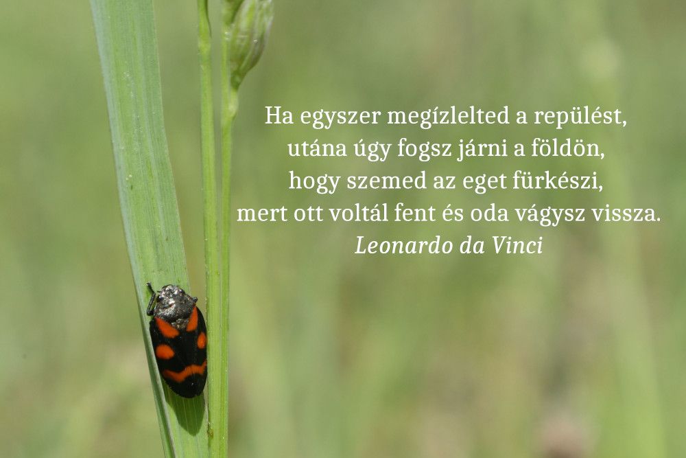 Motiváció és Inspiráció a mindennapokban